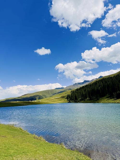 2025年新疆伊宁人口会有多少？-第2张图片-花冠旅游服务