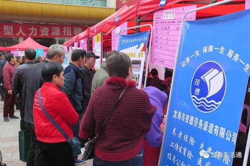 福建龙海石码最新招聘有哪些岗位？-第3张图片-花冠旅游服务