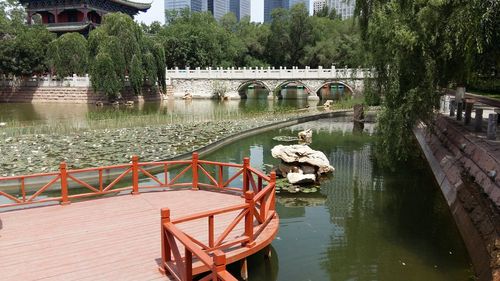 新疆乌鲁木齐公园北街有何特色？-第3张图片-花冠旅游服务