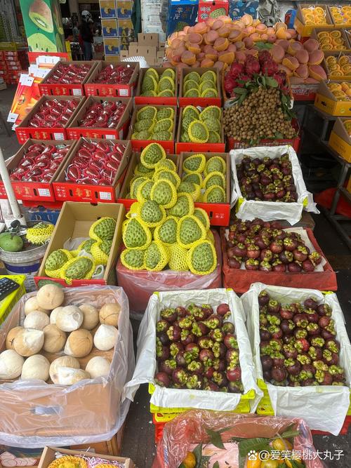 福建龙岩水果批发市场怎么样？-第3张图片-花冠旅游服务