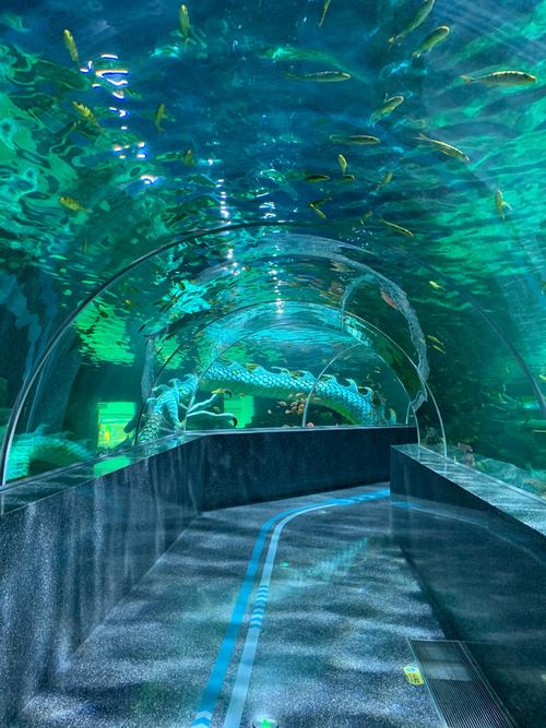 福建哪里有海底世界？-第1张图片-花冠旅游服务