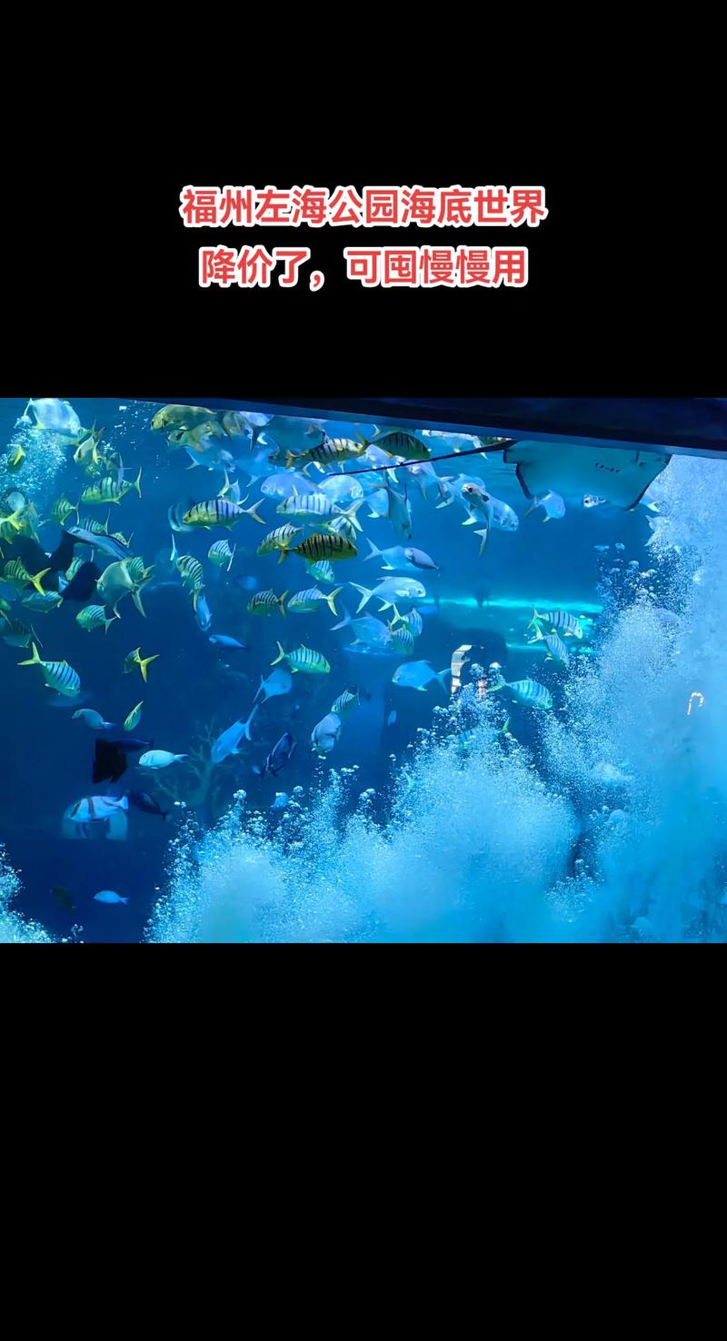 福建哪里有海底世界？-第3张图片-花冠旅游服务