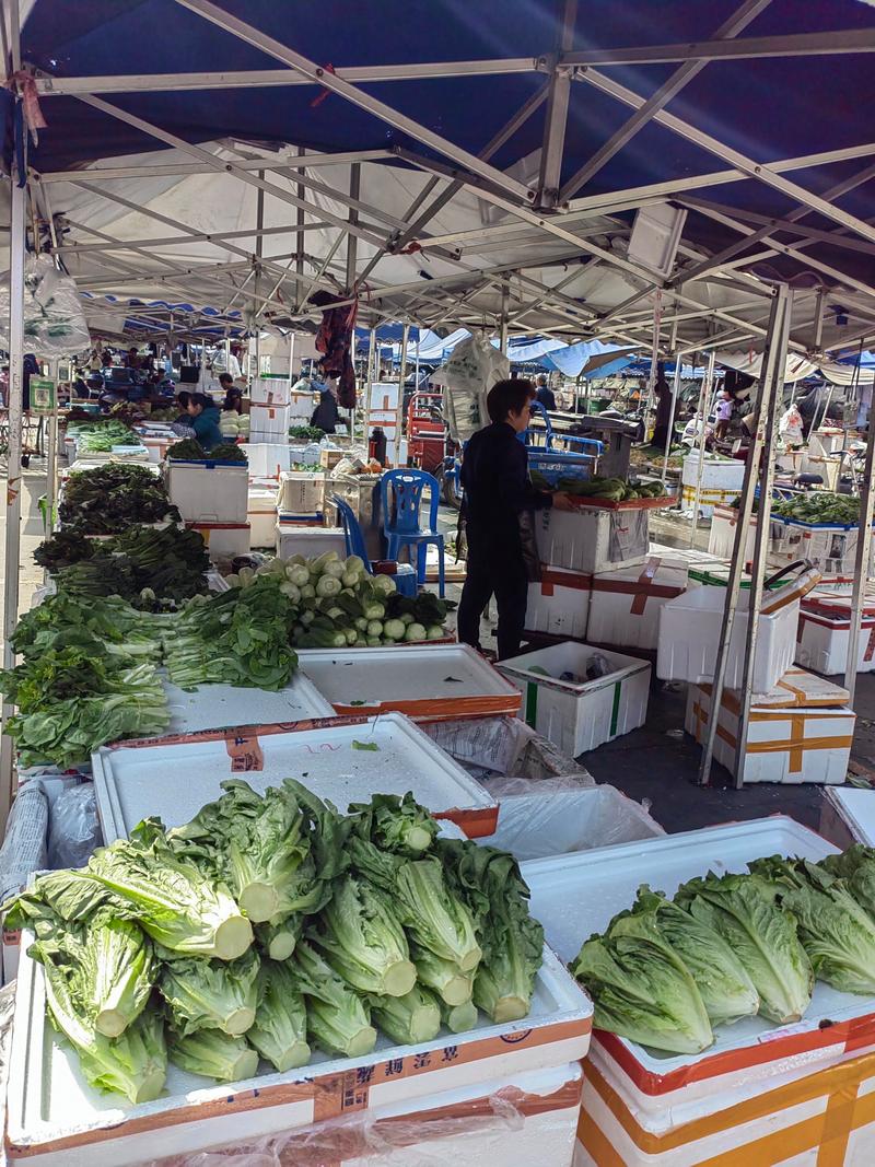 江西鹰潭蔬菜批发市场怎么样?-第1张图片-花冠旅游服务 江西鹰潭蔬菜批发市场怎么样?-第1张图片-花冠旅游服务