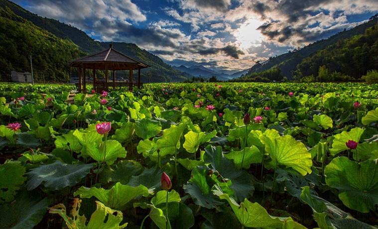 福建政和渡头洋创业园有何特色优势？-第2张图片-花冠旅游服务