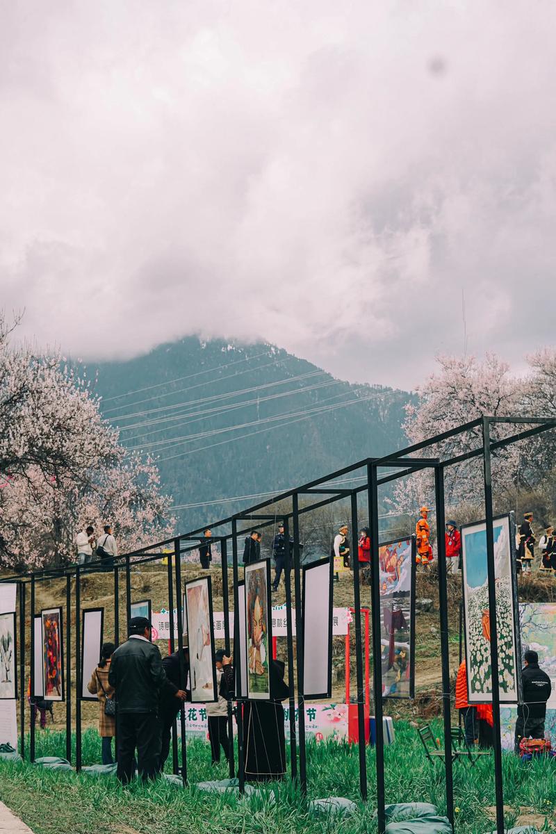 新疆桃花节2025何时启幕？花期与亮点抢先看！-第2张图片-花冠旅游服务