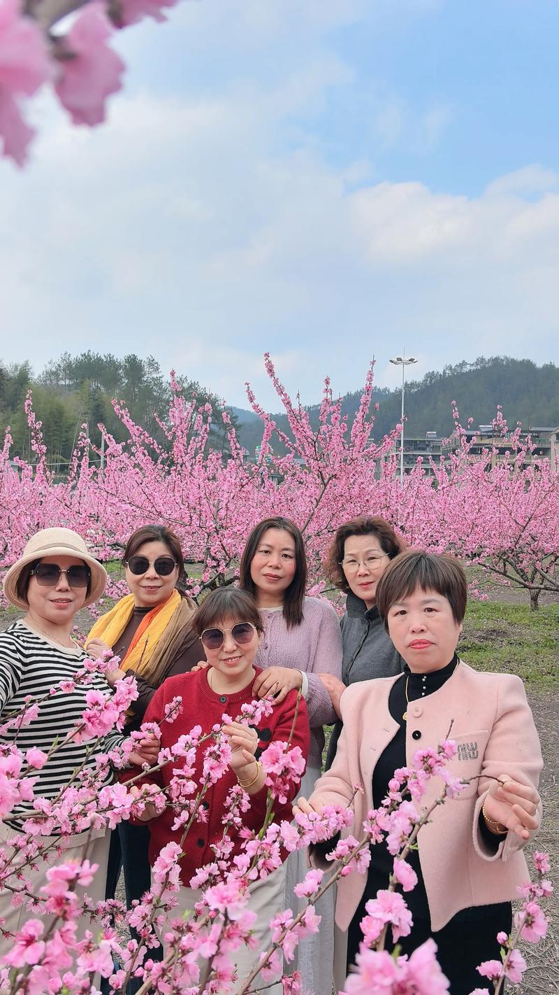 新疆桃花节2025何时启幕？花期与亮点抢先看！-第1张图片-花冠旅游服务