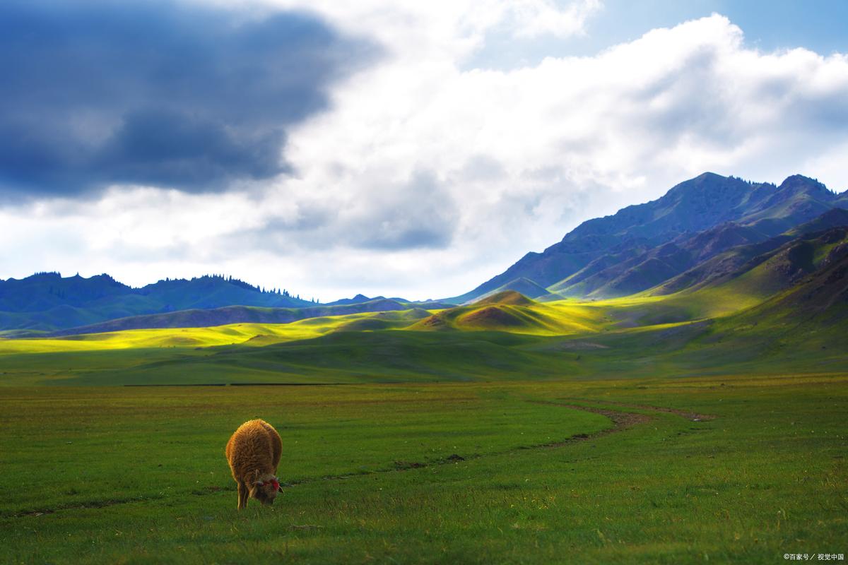 新疆布克赛尔蒙古自治有何独特魅力？-第3张图片-花冠旅游服务