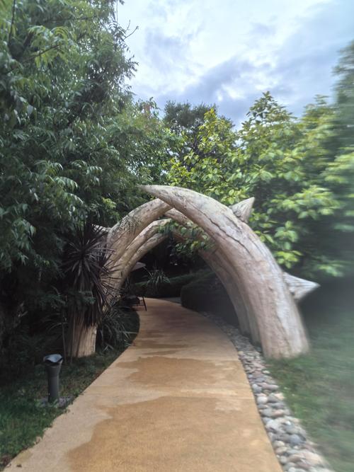 福建恐龙蛋酒店具体位置在哪？-第2张图片-花冠旅游服务