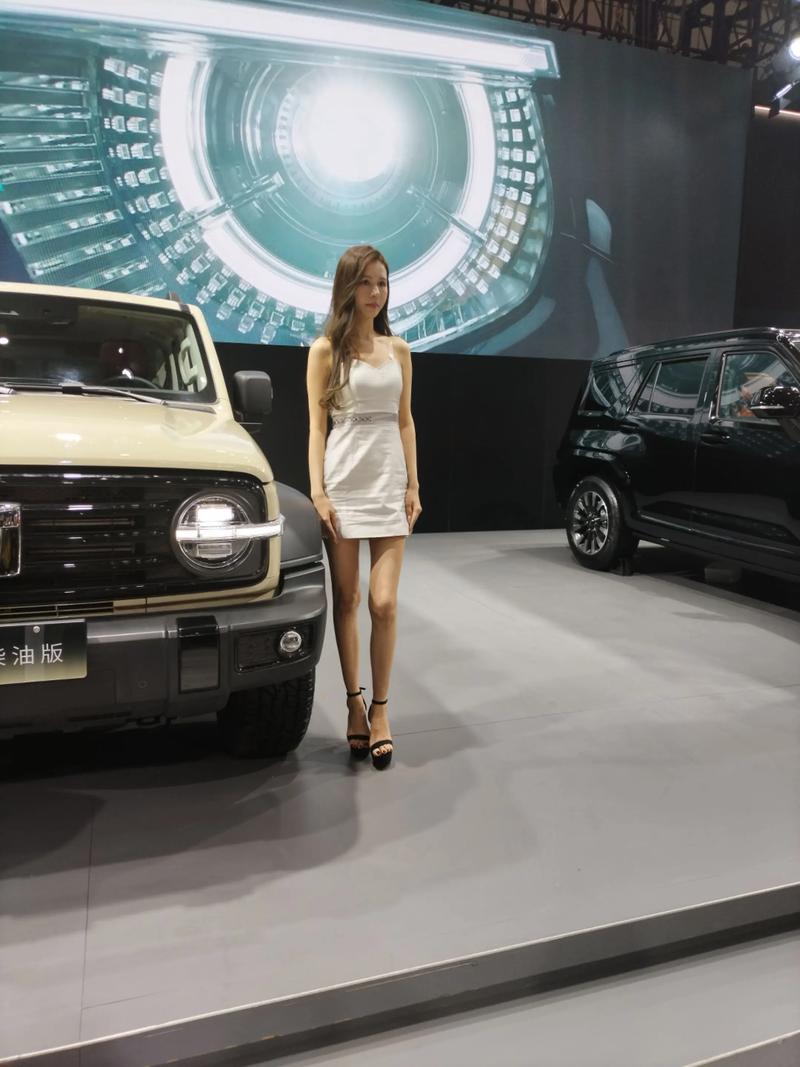 2025新疆秋季车展有哪些新车值得期待？-第3张图片-花冠旅游服务