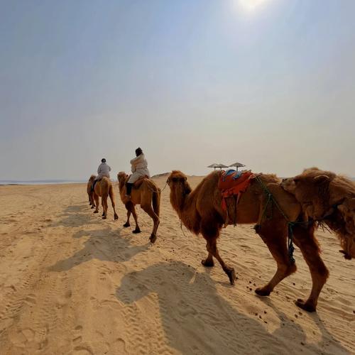 江西古海厚田沙漠怎么玩最尽兴？-第2张图片-花冠旅游服务