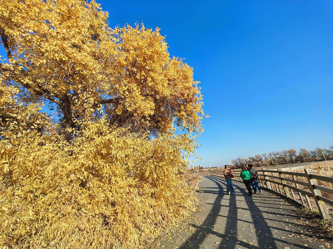 昌吉回族自治州有何独特魅力？-第2张图片-花冠旅游服务