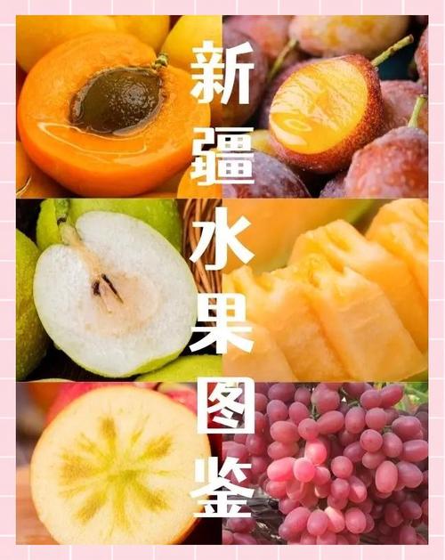 新疆八月份吃什么水果-第2张图片-花冠旅游服务