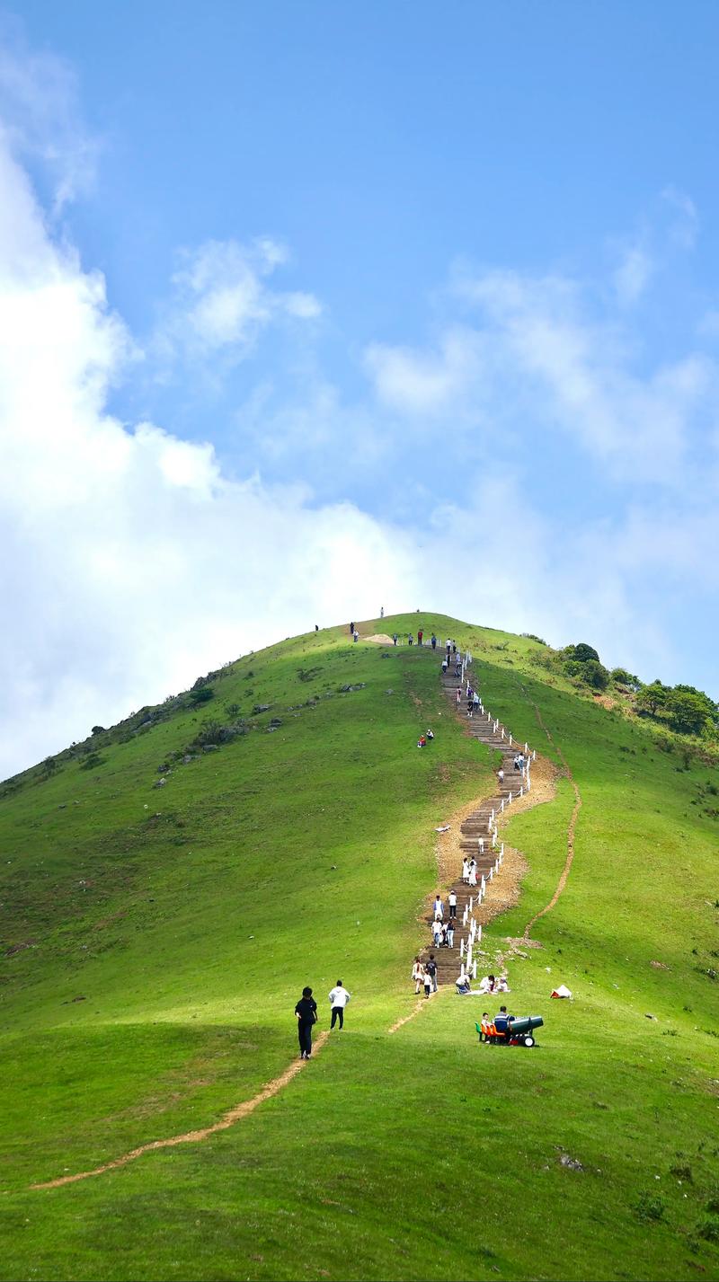 福建最大草原究竟在何方？-第3张图片-花冠旅游服务