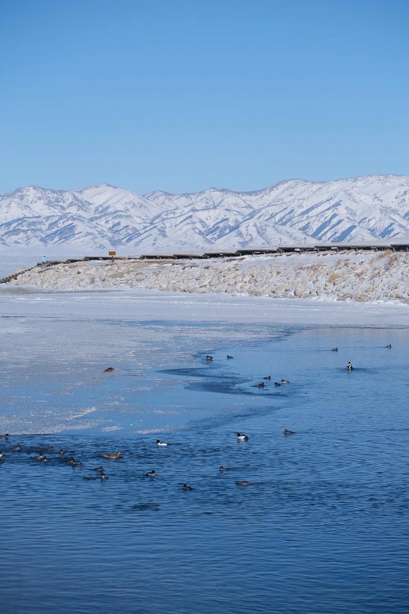 新疆冬季赛里木湖旅游有何魅力？-第1张图片-花冠旅游服务