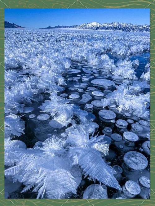 新疆冬季赛里木湖旅游有何魅力？-第2张图片-花冠旅游服务