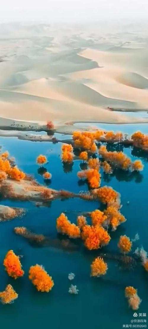 新疆巴州库尔勒轮台县有何特色？-第2张图片-花冠旅游服务