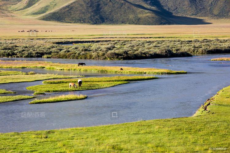 新疆巴音布鲁克开都河-第1张图片-花冠旅游服务