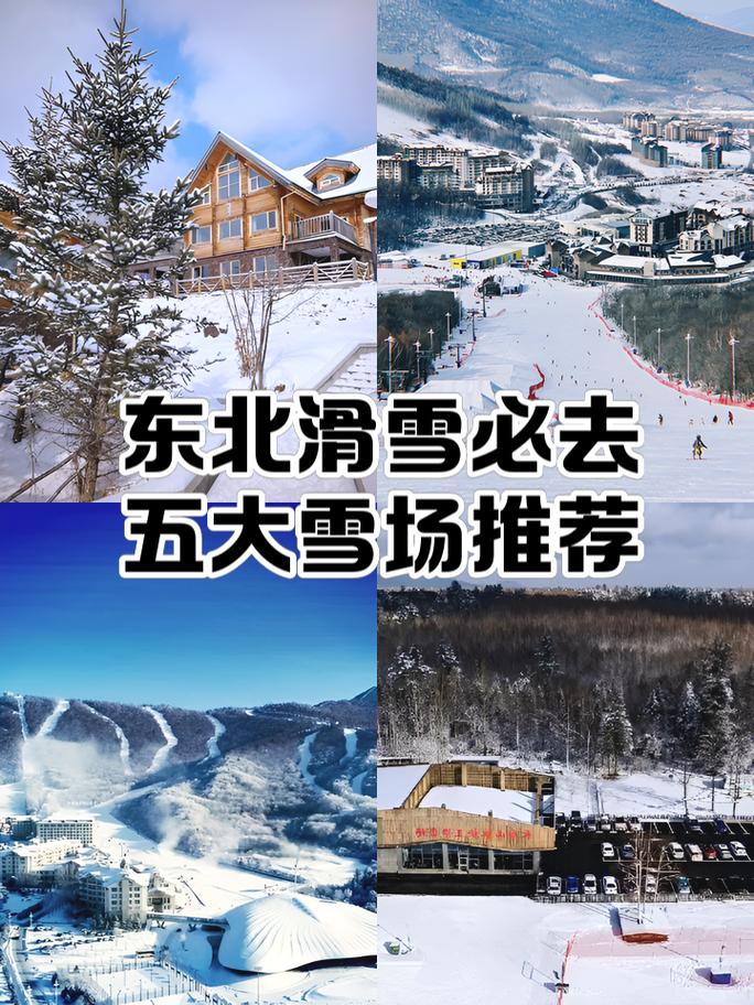 滑雪去新疆还是去东北-第2张图片-花冠旅游服务