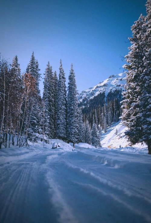 冬季新疆乌鲁木齐周边-第1张图片-花冠旅游服务
