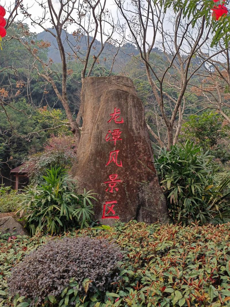 福建 福州国家森林公园有何特色值得一游？-第1张图片-花冠旅游服务