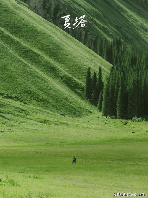 八月去新疆要注意啥？-第1张图片-花冠旅游服务