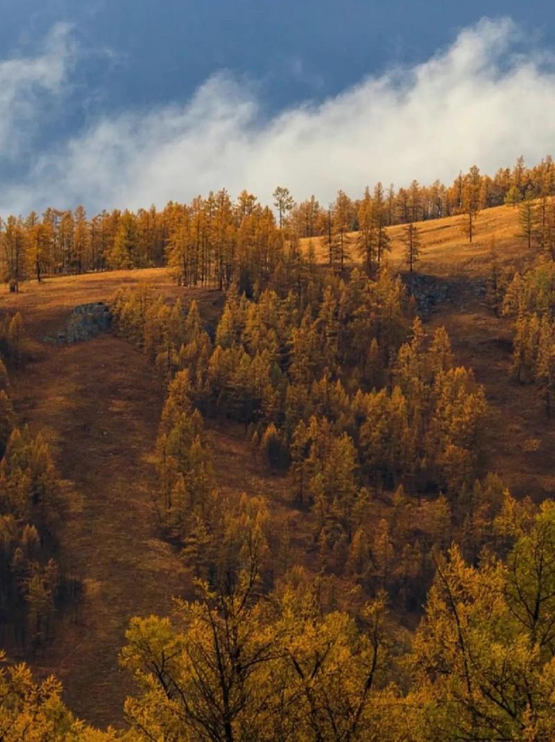 新疆中秋有哪些特色习俗？-第1张图片-花冠旅游服务