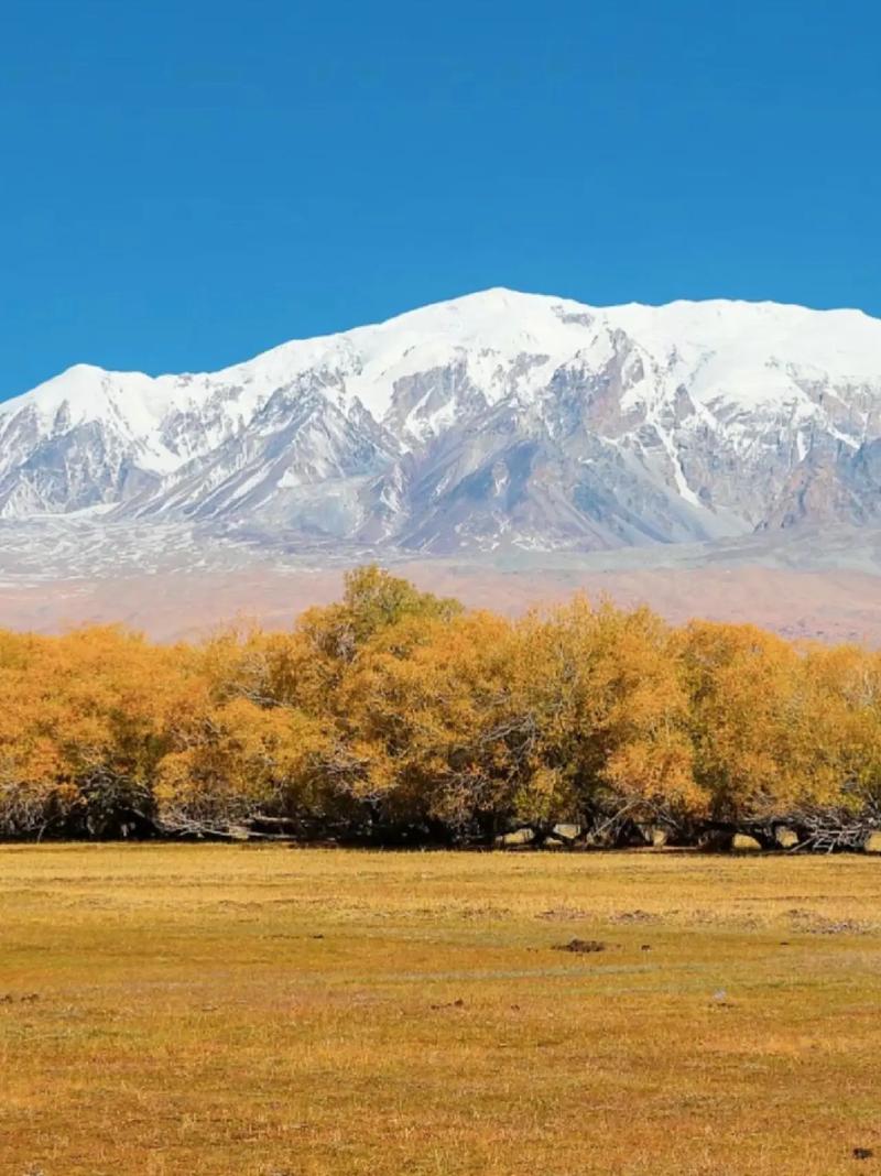 新疆中秋有哪些特色习俗？-第2张图片-花冠旅游服务