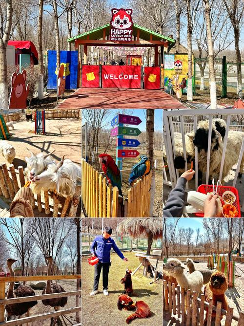 新疆动物园具体位置在哪儿？-第1张图片-花冠旅游服务