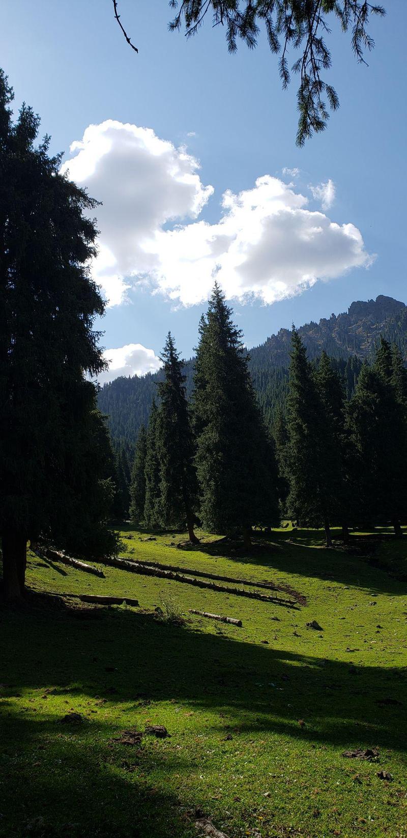 新疆昌吉市有哪些必玩景点？-第1张图片-花冠旅游服务