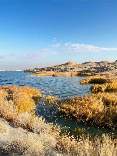 乌伦古湖位于新疆北部-第1张图片-花冠旅游服务