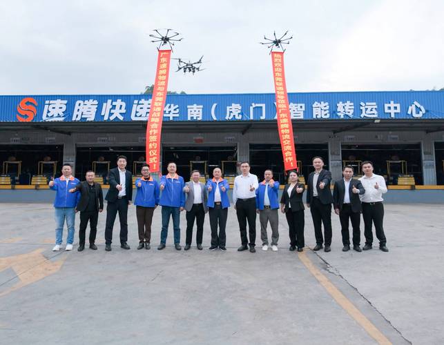 福建鼎洋国际物流青岛有何优势？-第2张图片-花冠旅游服务