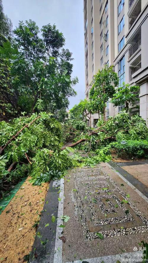 福建泉州今晚有台风吗-第1张图片-花冠旅游服务