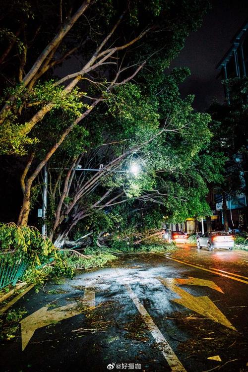 福建泉州今晚有台风吗-第2张图片-花冠旅游服务