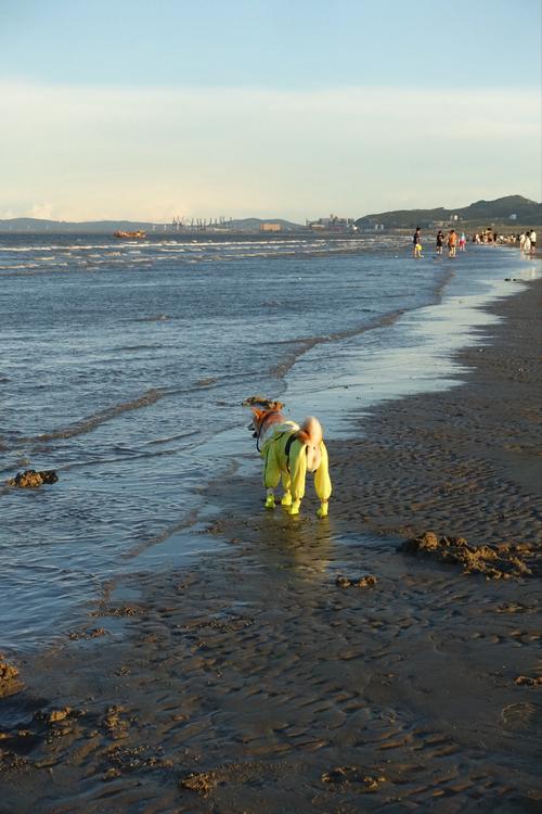 福建有哪些值得一去的海边景点？-第2张图片-花冠旅游服务