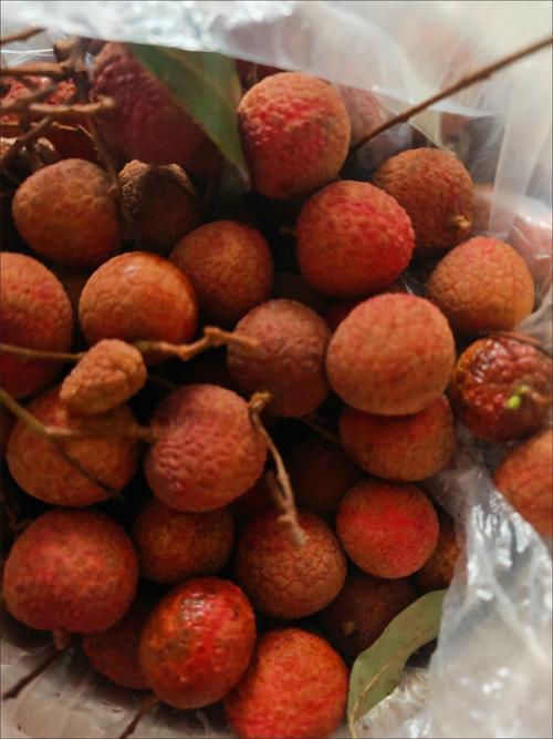 福建有哪些特色水果特产？-第3张图片-花冠旅游服务