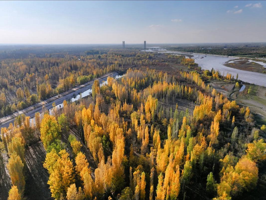 新疆摄影团春秋旅游网有哪些特色路线？-第2张图片-花冠旅游服务