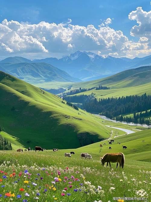 新疆图片风景大全，有哪些绝美景色？-第1张图片-花冠旅游服务