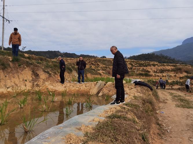 福建漳州平和大溪发生了什么新鲜事？-第1张图片-花冠旅游服务