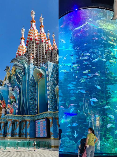 福建海洋世界哪家最值得去？-第1张图片-花冠旅游服务