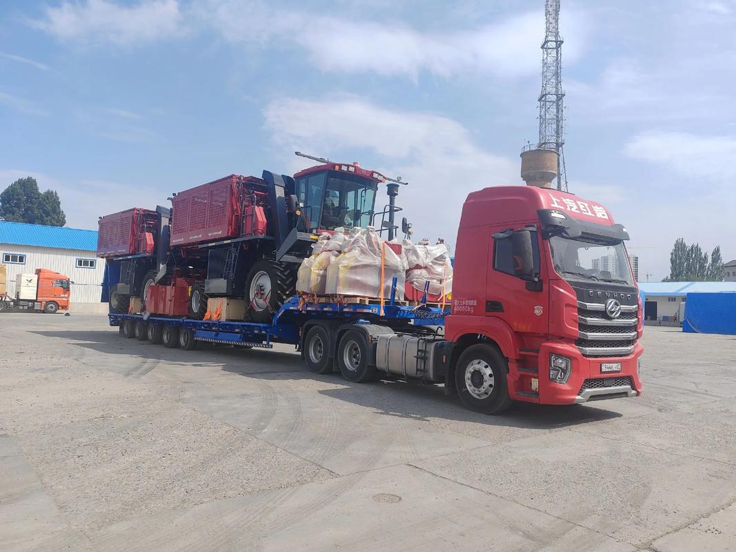 新疆双信递捷国际物流有何优势？-第2张图片-花冠旅游服务