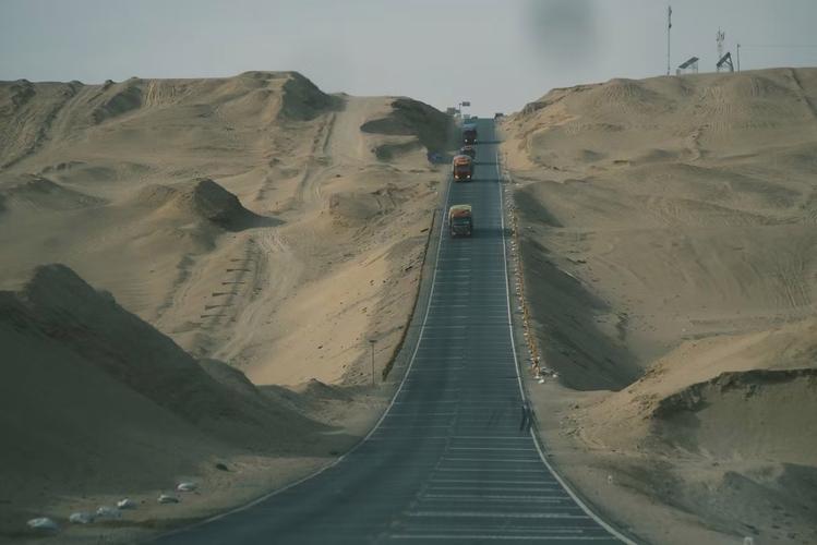 新疆500公里无人区，藏着怎样的生命奇迹？-第1张图片-花冠旅游服务