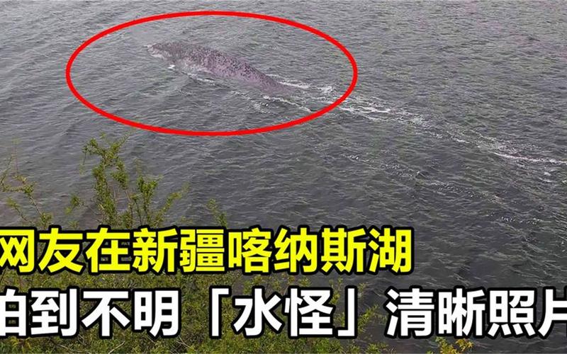 新疆天池水怪真相图片曝光了吗？-第1张图片-花冠旅游服务