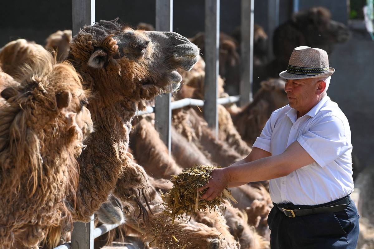 新疆伊宁县副县长被谋杀，真相究竟如何？-第3张图片-花冠旅游服务