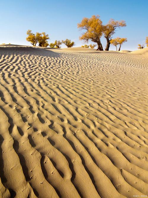 塔克拉玛干大沙漠藏着什么秘密？-第1张图片-花冠旅游服务