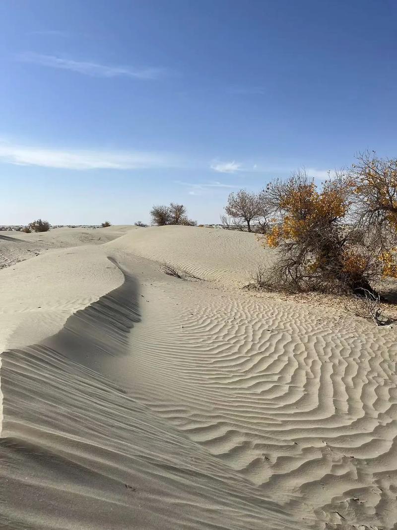 塔克拉玛干大沙漠藏着什么秘密？-第2张图片-花冠旅游服务
