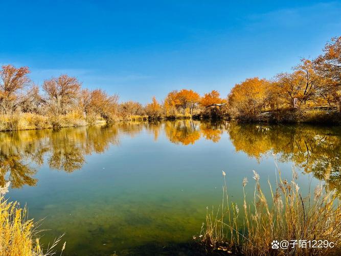 韩国人游新疆视频里藏着啥?-第1张图片-花冠旅游服务 韩国人游新疆视频里藏着啥?-第1张图片-花冠旅游服务