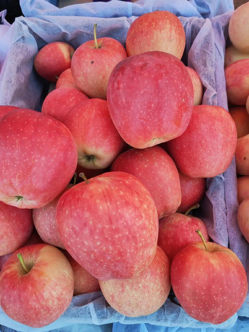 新疆盛产的水果有哪些？-第2张图片-花冠旅游服务