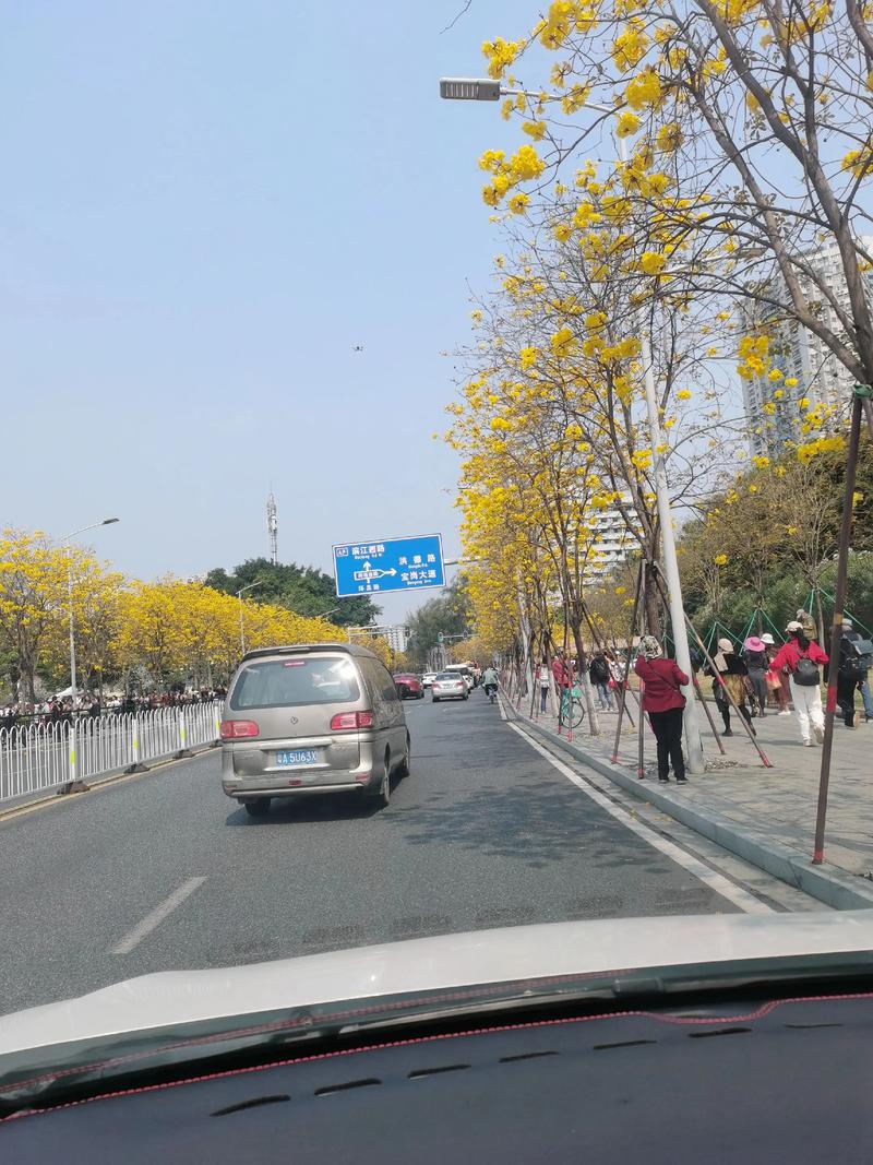 滨江西路20号藏着什么故事？-第1张图片-花冠旅游服务