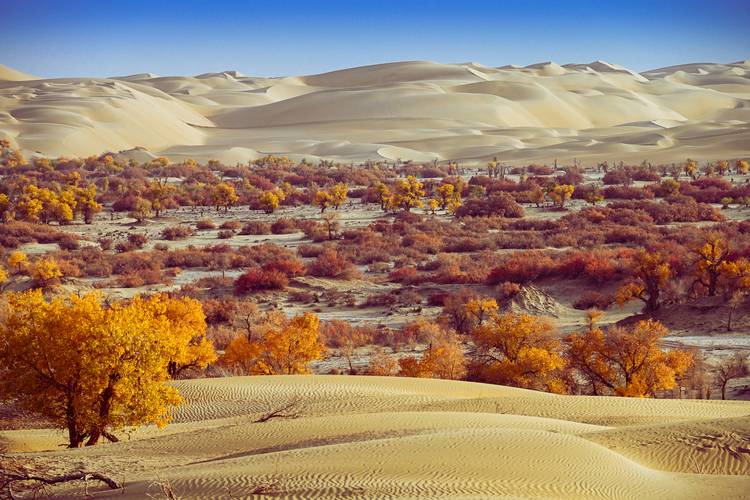 新疆地貌景观为何丰富多彩？-第2张图片-花冠旅游服务