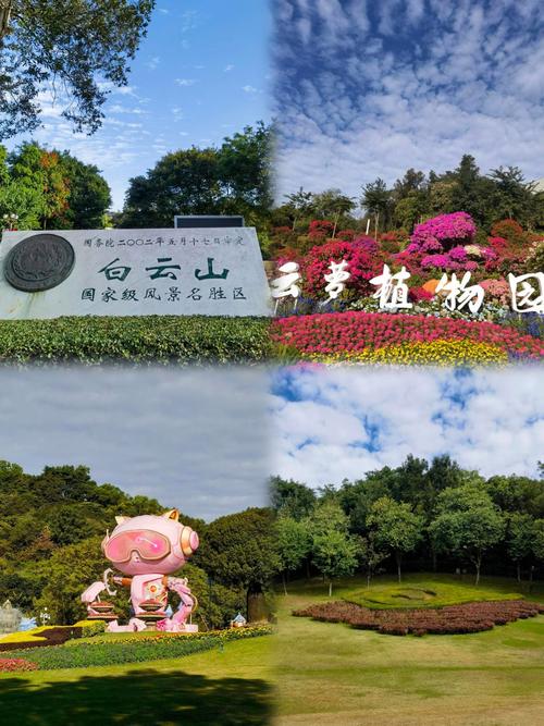 福建白云山风景区门票-第3张图片-花冠旅游服务